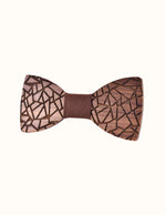 noeud-papillon-avec-des-ecailles