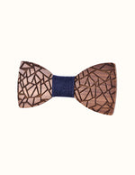 noeud-papillon-ecaille-en-bois