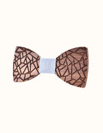 noeud-papillon-elegant